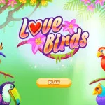Love Birds Games